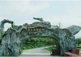 湘豐茶業(yè)獲評湖南農業(yè)優(yōu)勢特色產業(yè)30強企業(yè) 湘豐茶業(yè)獲評湖南農業(yè)優(yōu)勢特色產業(yè)30強企業(yè)