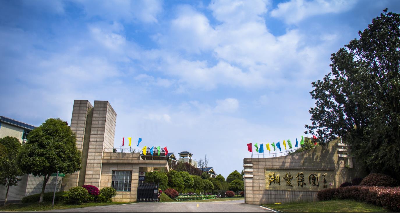 23123123123.jpg 23123123123.jpg