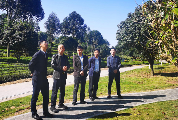 農業部發展規劃司副司長趙曉明一行調研湘豐茶業集團