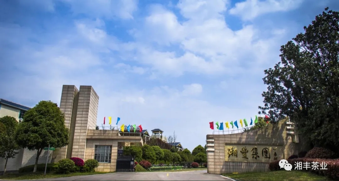 微信圖片_202011191054548.jpg 微信圖片_202011191054548.jpg