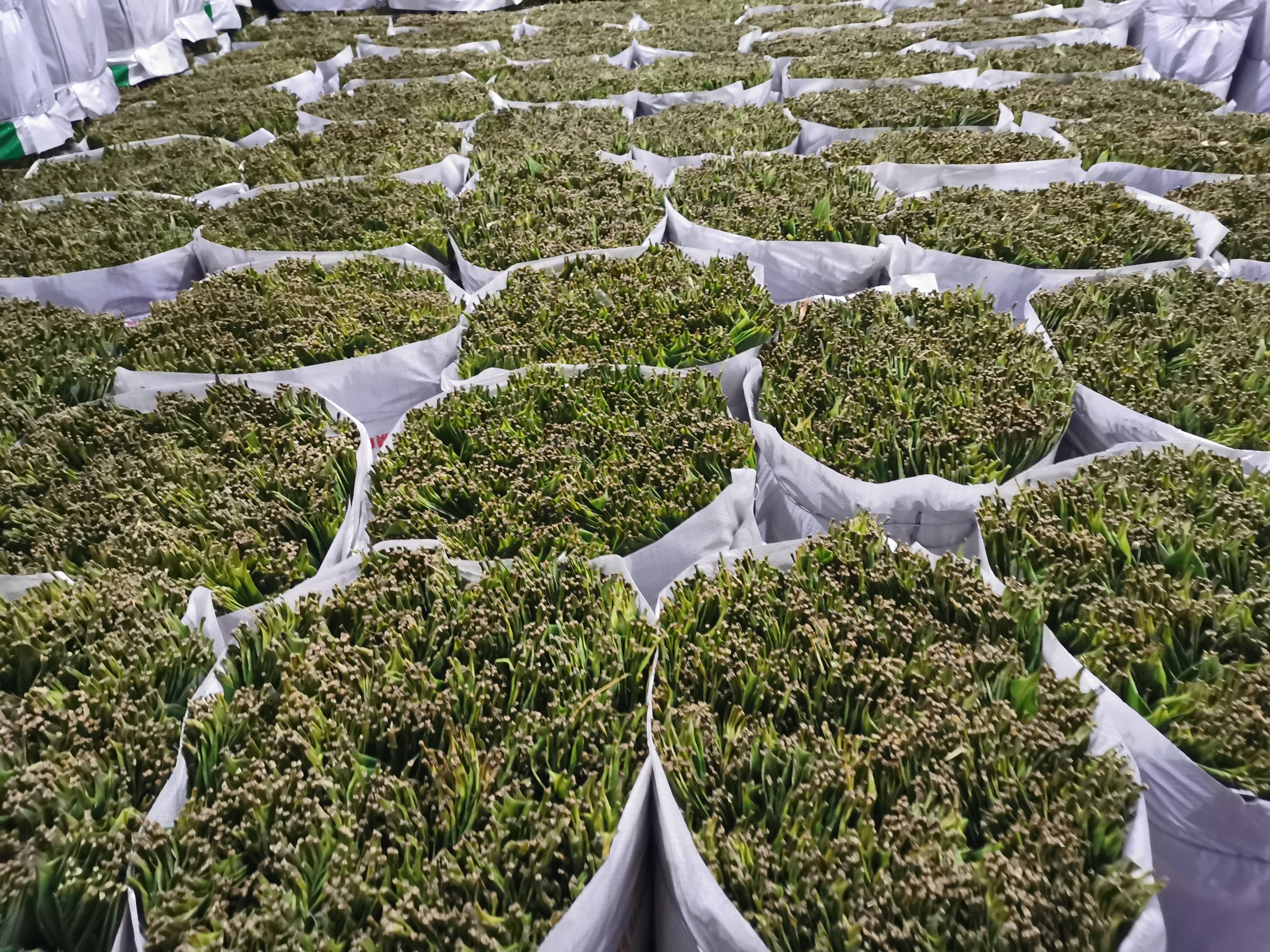 028192547e084238a2f207fb6d48bfb3.jpeg 028192547e084238a2f207fb6d48bfb3.jpeg