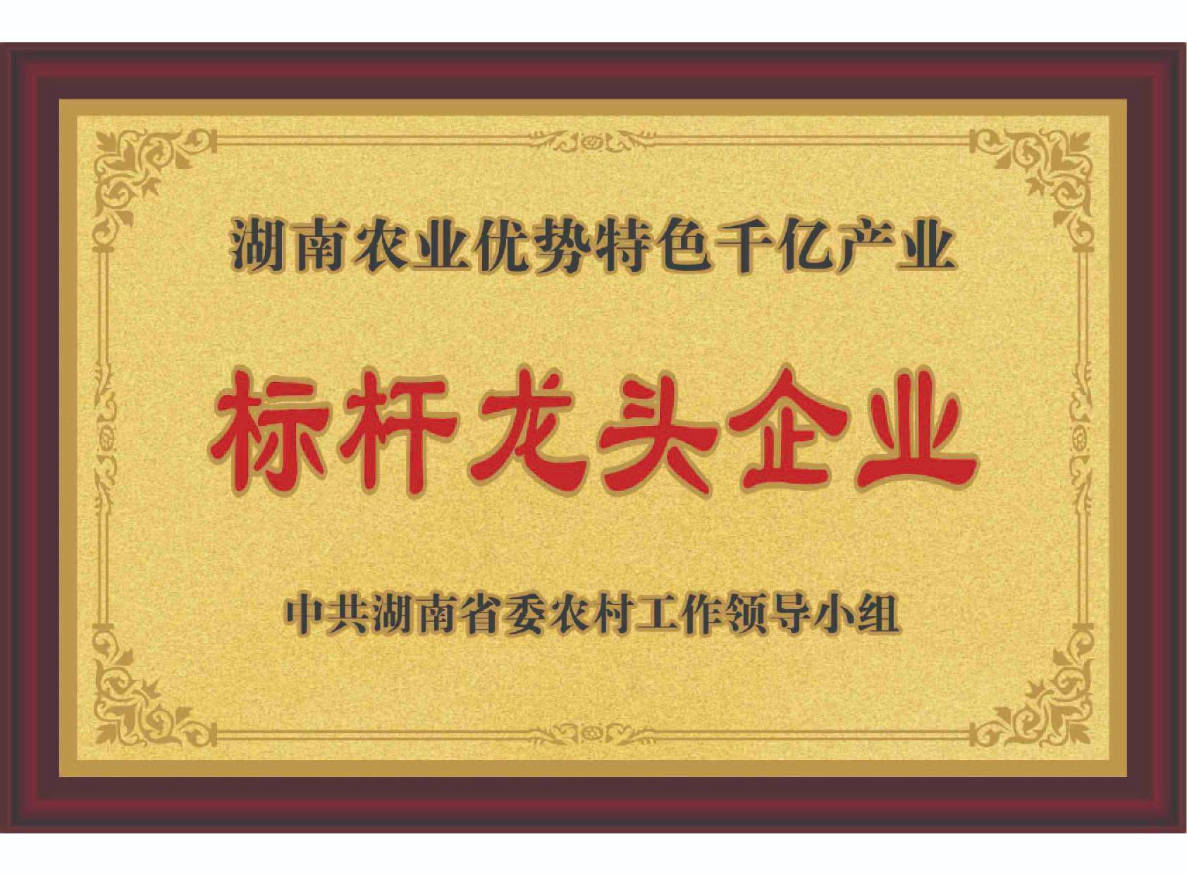 湖南農業優勢特色千億產業標桿龍頭企業