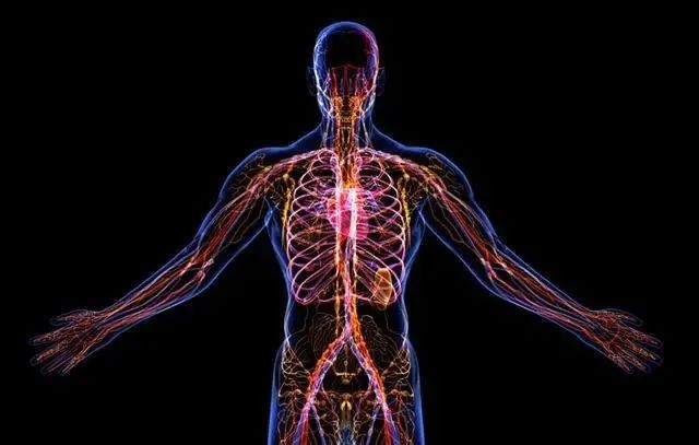 微信圖片_20210429092111.jpg 微信圖片_20210429092111.jpg