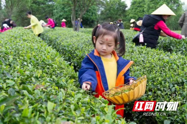 6b36a41a-6a48-4185-9ce9-e4883507bf46.jpg 6b36a41a-6a48-4185-9ce9-e4883507bf46.jpg