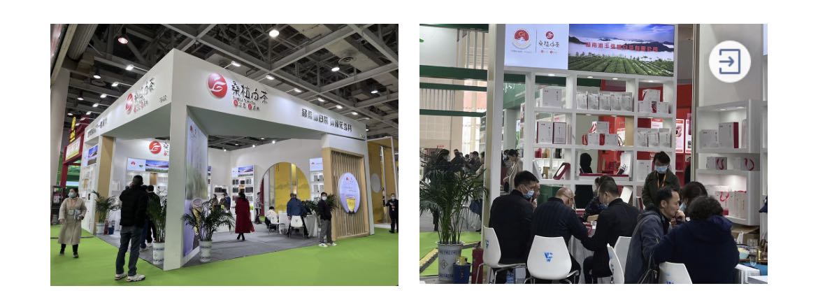 桑植白茶展區、湘豐桑植白茶展位.jpg 桑植白茶展區、湘豐桑植白茶展位.jpg