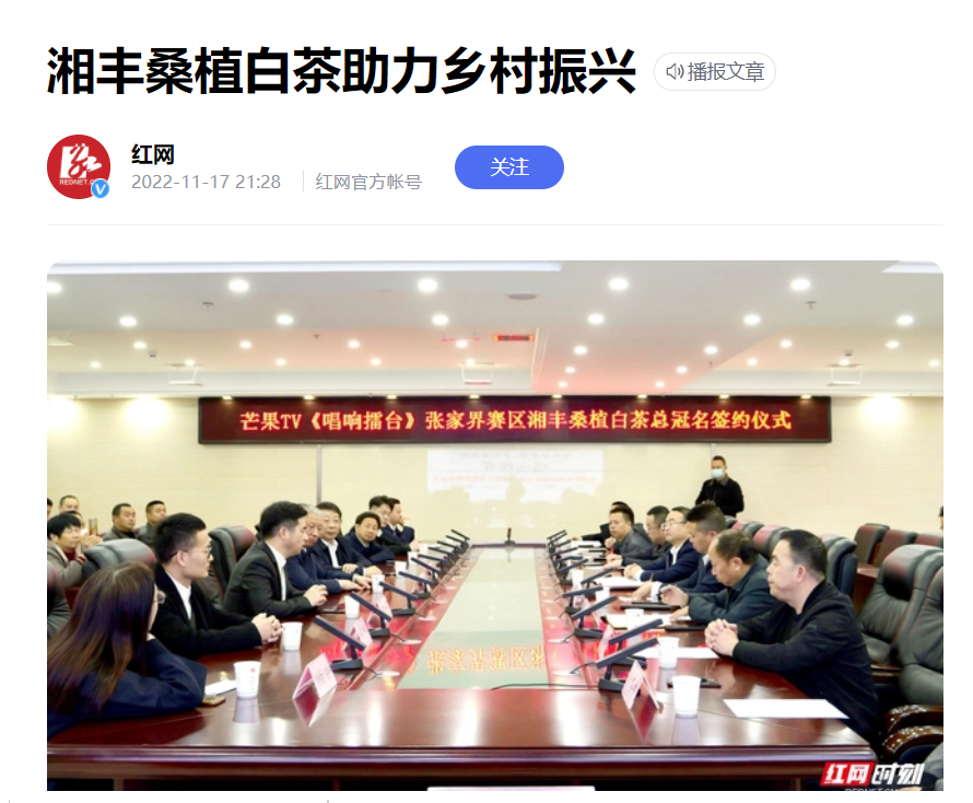 紅網時刻新聞 | 湘豐桑植白茶助力鄉(xiāng)村振興
