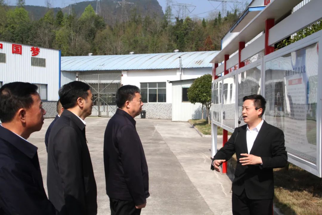 省政協(xié)黨組書記、主席毛萬春調(diào)研湖南湘豐桑植白茶有限公司