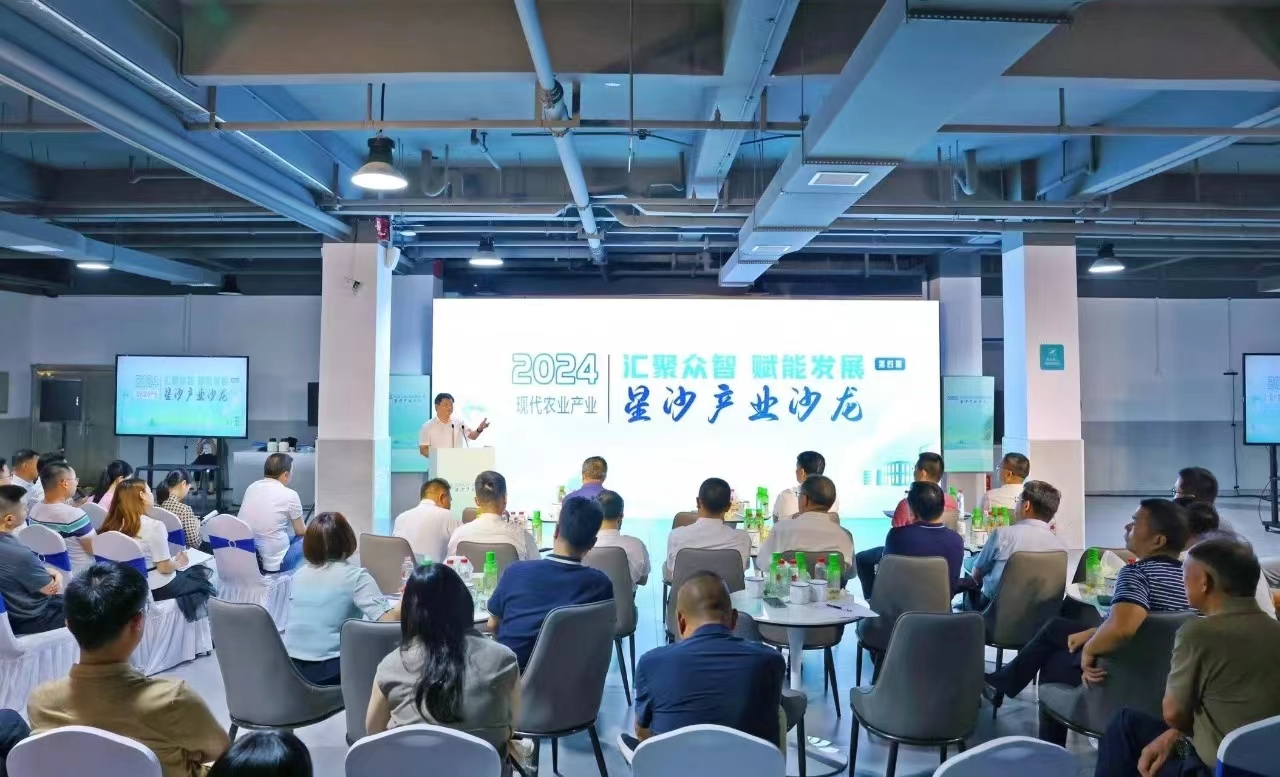 第四期星沙產業沙龍在湘豐創新產業園舉行 第四期星沙產業沙龍在湘豐創新產業園舉行