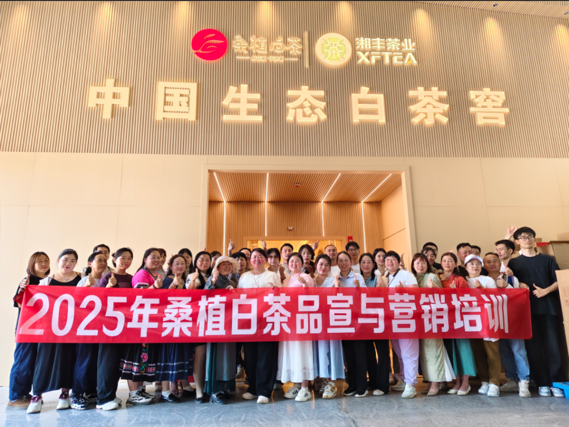 茶香賦能,紅色傳承丨湘豐桑植白茶品宣與營銷培訓(第三期) 茶香賦能,紅色傳承丨湘豐桑植白茶品宣與營銷培訓(第三期)