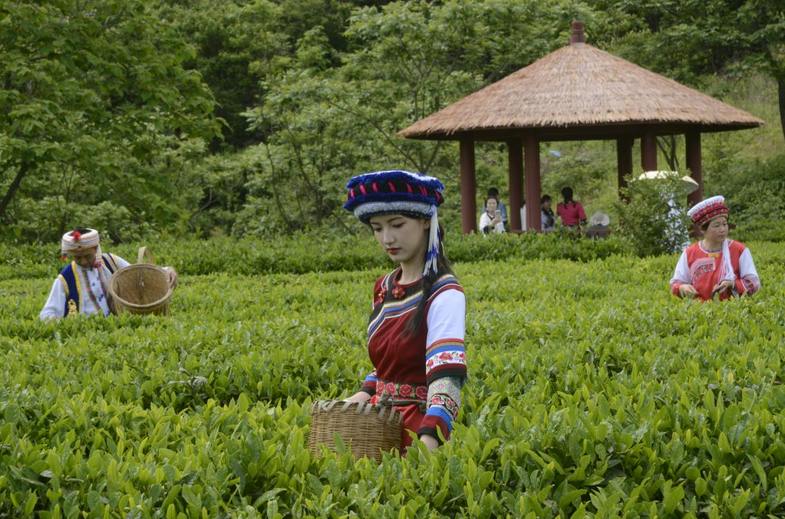 圖片1.png 圖片1.png