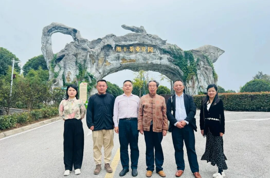 湖南省茶文化研究會會長肖濤一行調(diào)研湘豐茶業(yè)集團(tuán) 共促茶文化傳承與產(chǎn)業(yè)創(chuàng)新 湖南省茶文化研究會會長肖濤一行調(diào)研湘豐茶業(yè)集團(tuán) 共促茶文化傳承與產(chǎn)業(yè)創(chuàng)新